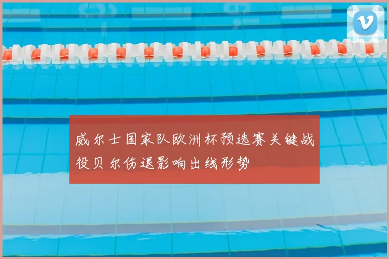 威尔士国家队欧洲杯预选赛关键战役贝尔伤退影响出线形势