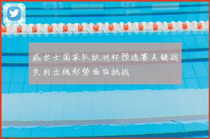 威尔士国家队欧洲杯预选赛关键战失利出线形势面临挑战