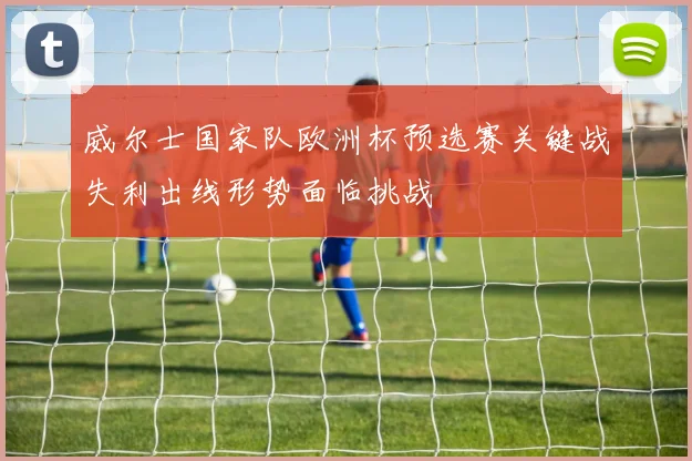 威尔士国家队欧洲杯预选赛关键战失利出线形势面临挑战