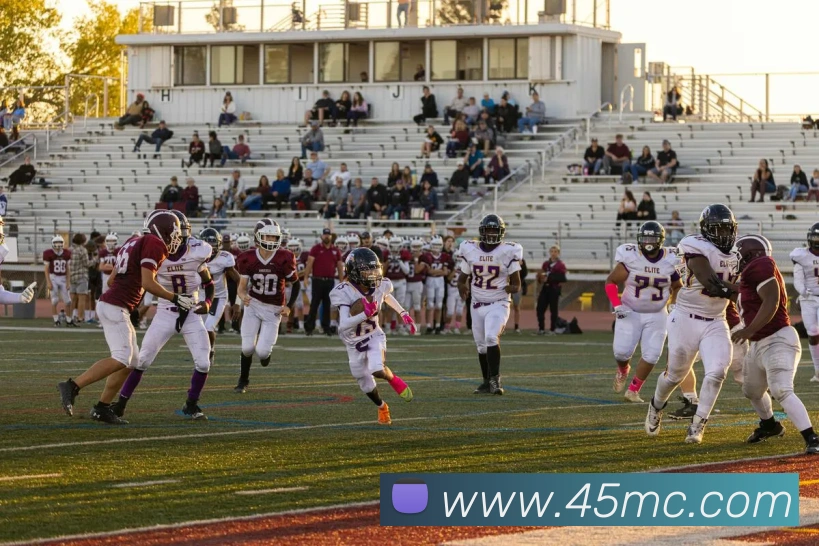 华体app登录入口平台生态图